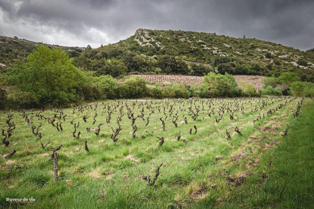 Le vignoble — Domaine des 2 Clés