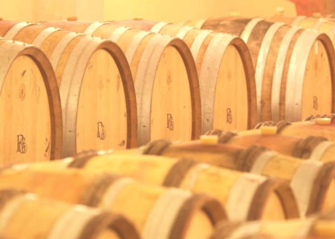 Le vignoble — Gilles Robin
