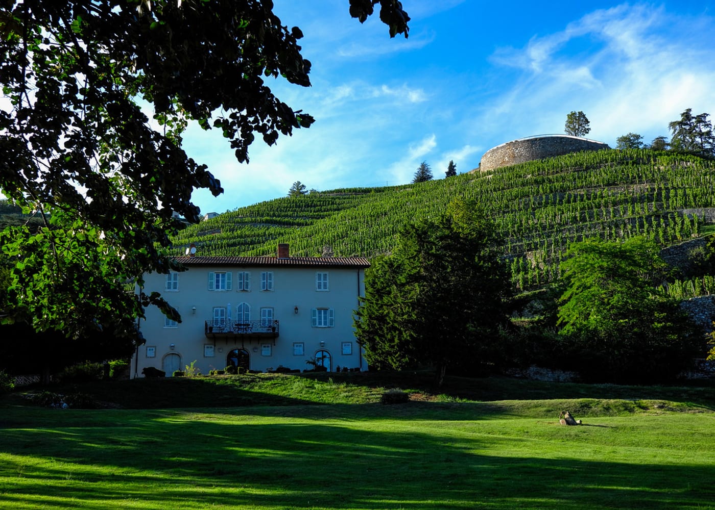 Le vignoble — Domaine Georges Vernay