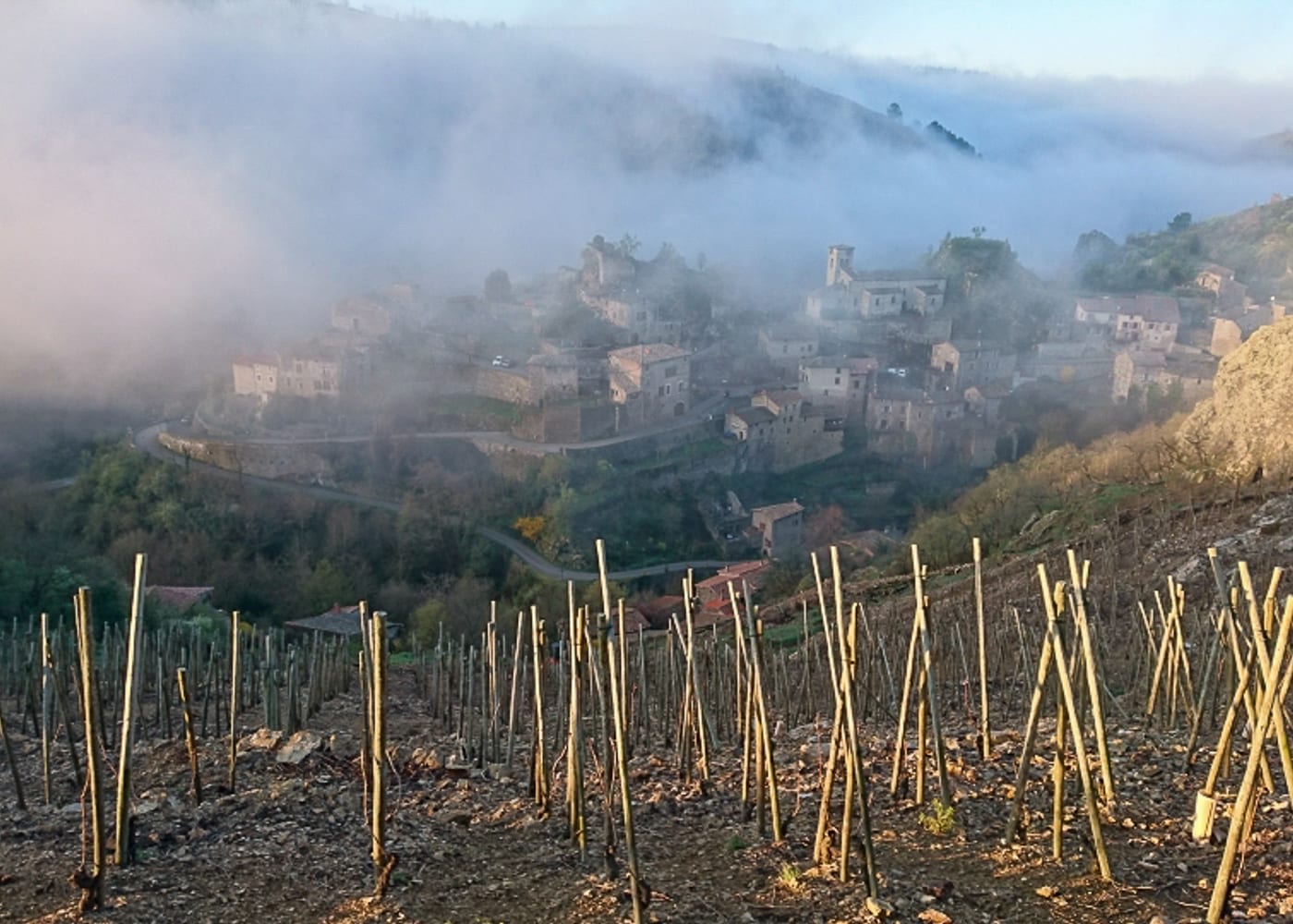 Le vignoble — Famille Pierre Gaillard