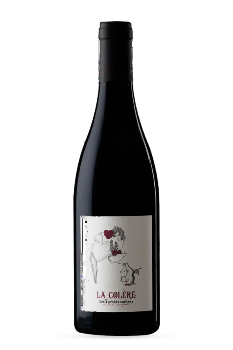 Vin de France La Colère Rouge 2025 75cl - Domaine les Bruyères - David Reynaud