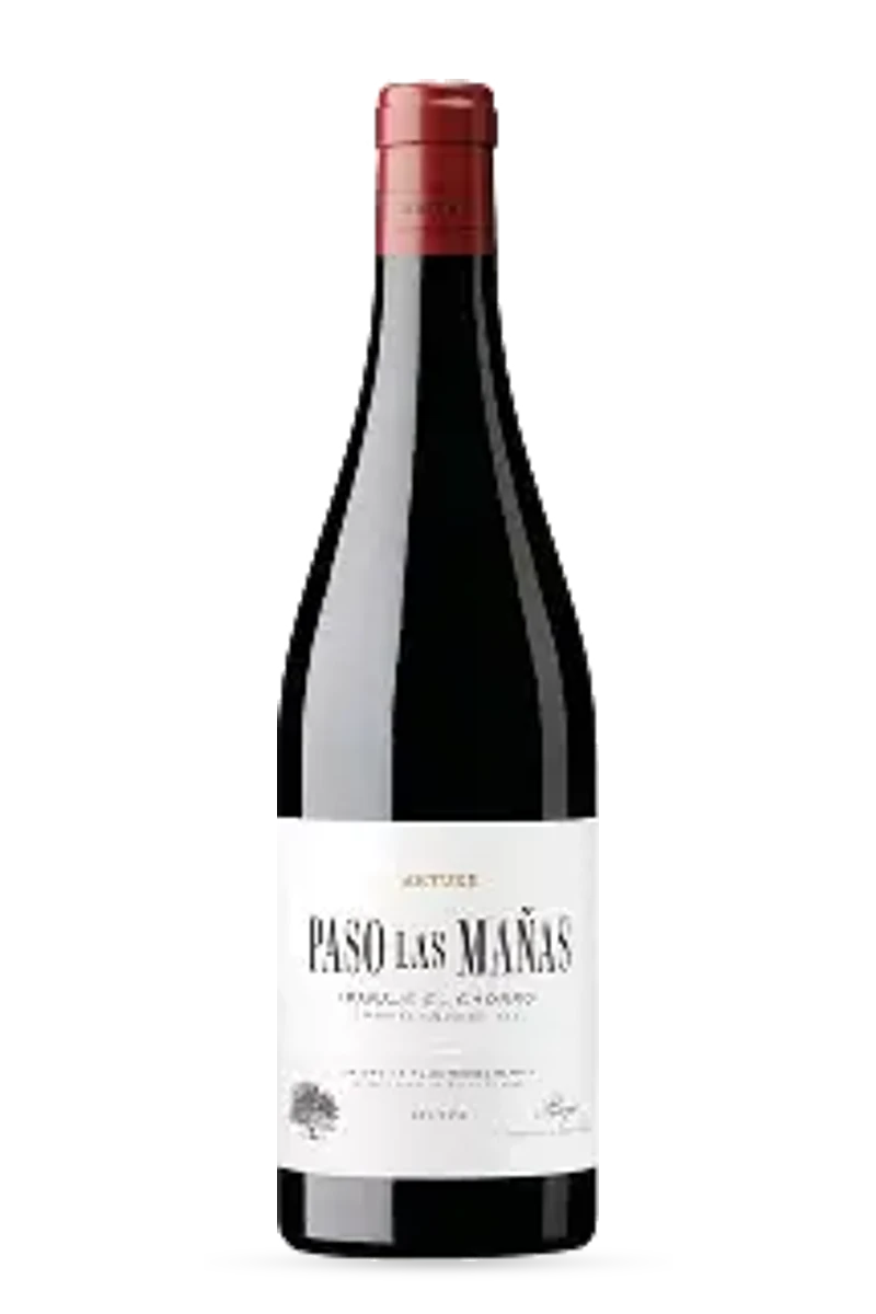 Rioja DOCa Paso Las Manas Rouge 2021 75cl - Artuke