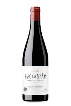 Rioja DOCa Paso Las Manas Rouge 2021 75cl - Artuke
